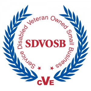 SDVOSB-CVE-Logo-300x300